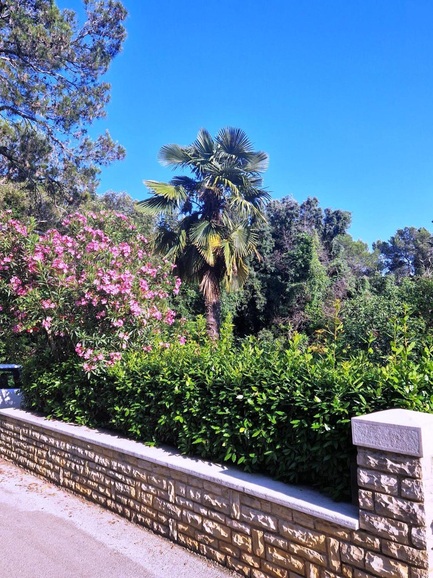 Molo View Apartment Rovinj Exterior foto